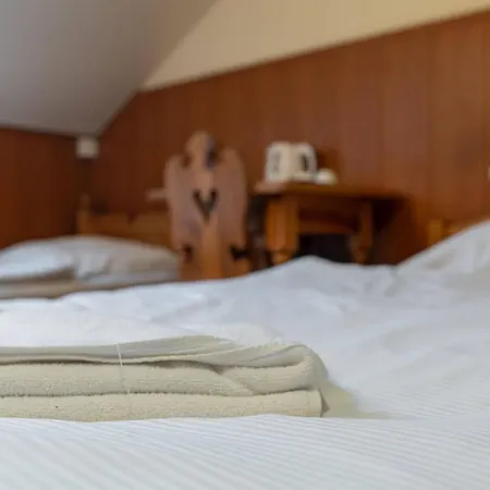 Frühstückspension Gosciniec Beskidzki 3*